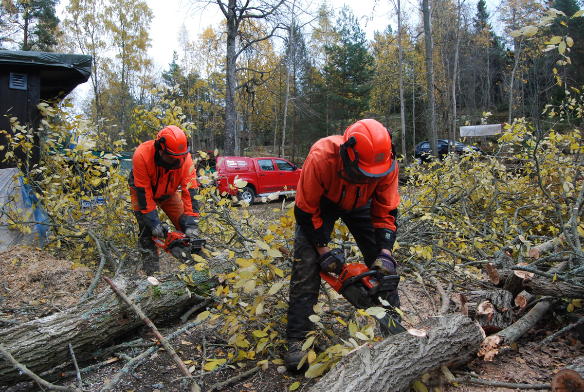 wood workers image