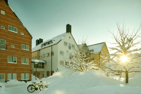 bild på en byggnad under vintern