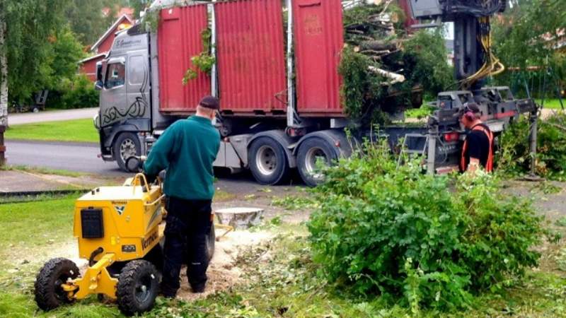 Kapning av träd, bortforsling och stubbfräsning.