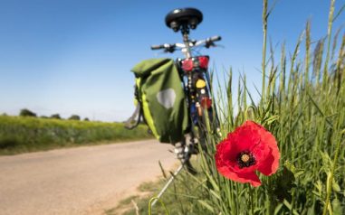 Vallmoblomma framför cykel