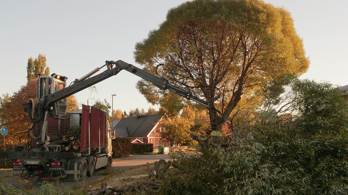 Skog AB lastar virke på kranbil