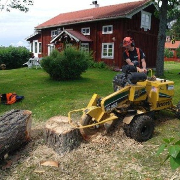 Stubbfräsning utförd av medarbetare