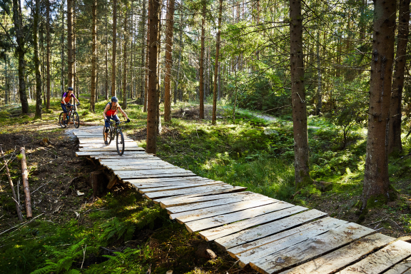 en skogscykelväg gjord av träskivor